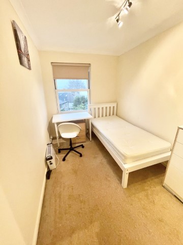 Kingsridge | Single Room #5